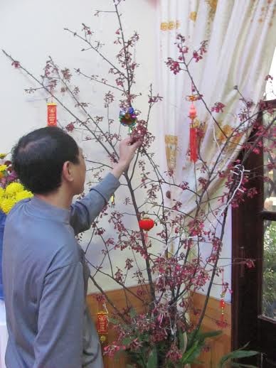 Đào ‘lạ’ tại Lạng Sơn - ảnh 1